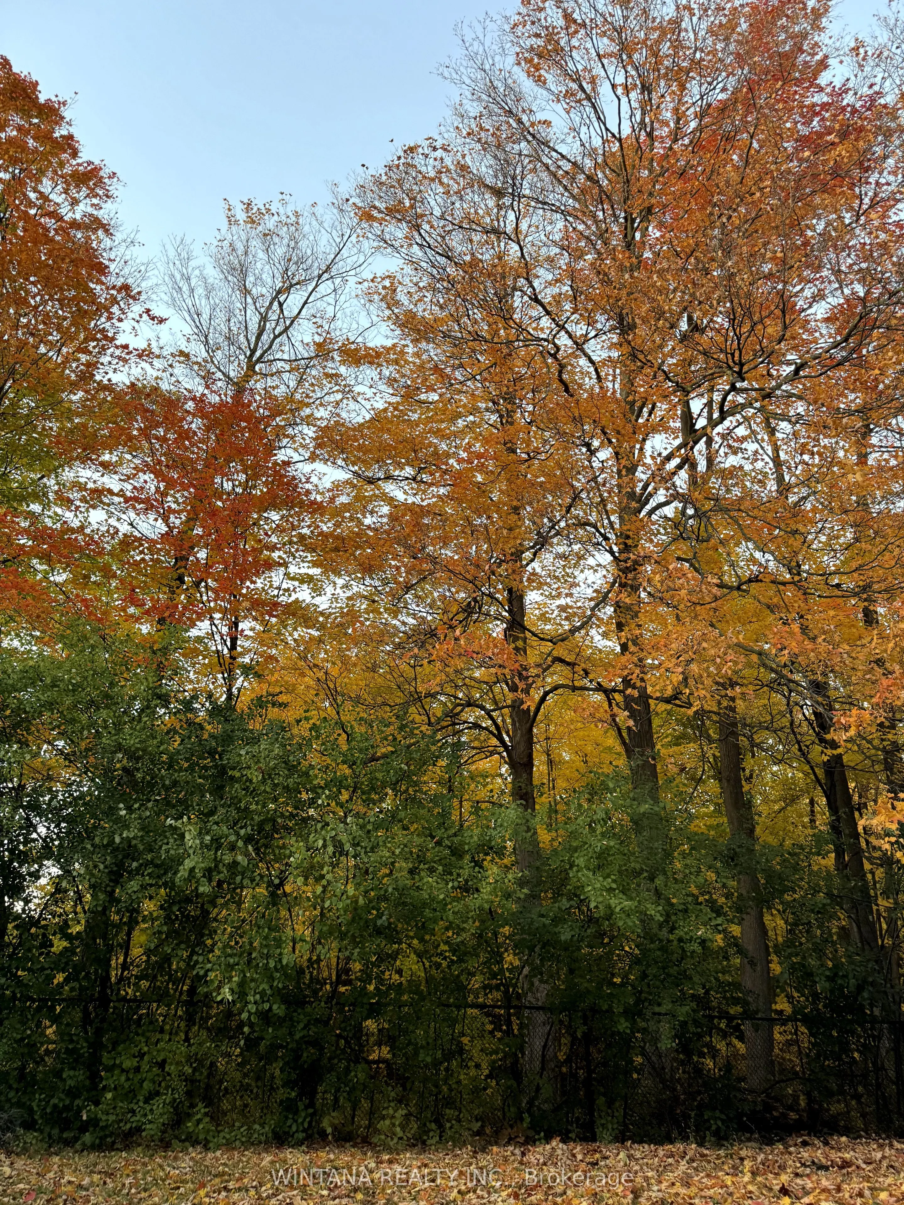 36 Matisse Trail
