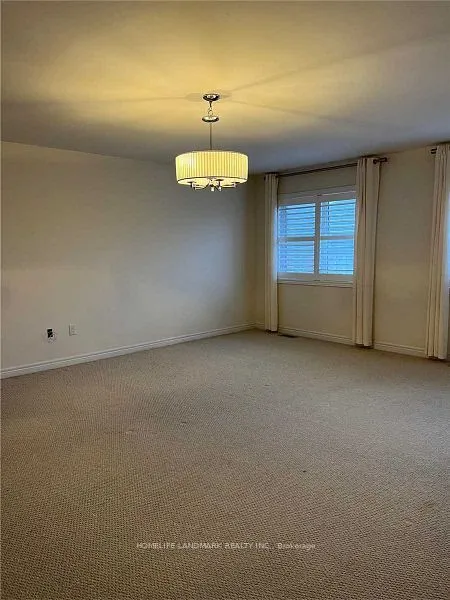 127 Alpaca Drive
