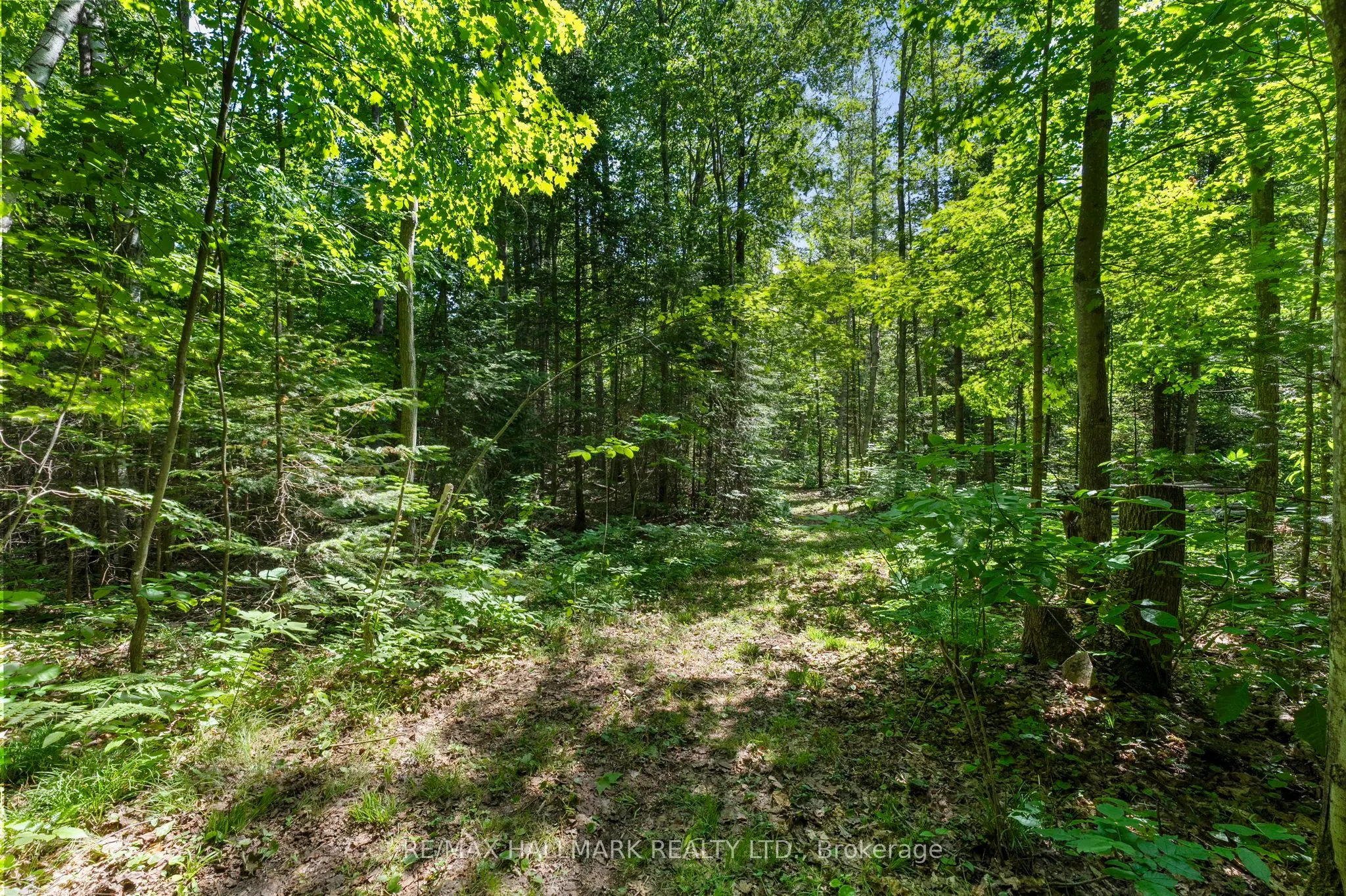 24093 Weirs Side Road