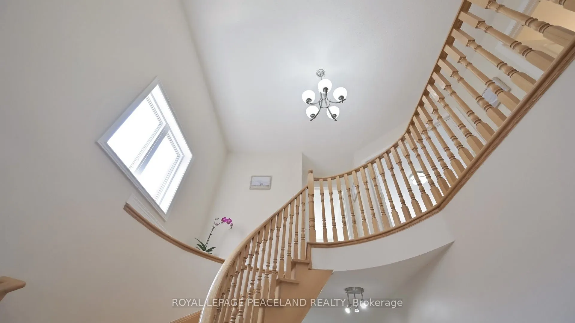 16 Lealinds Road