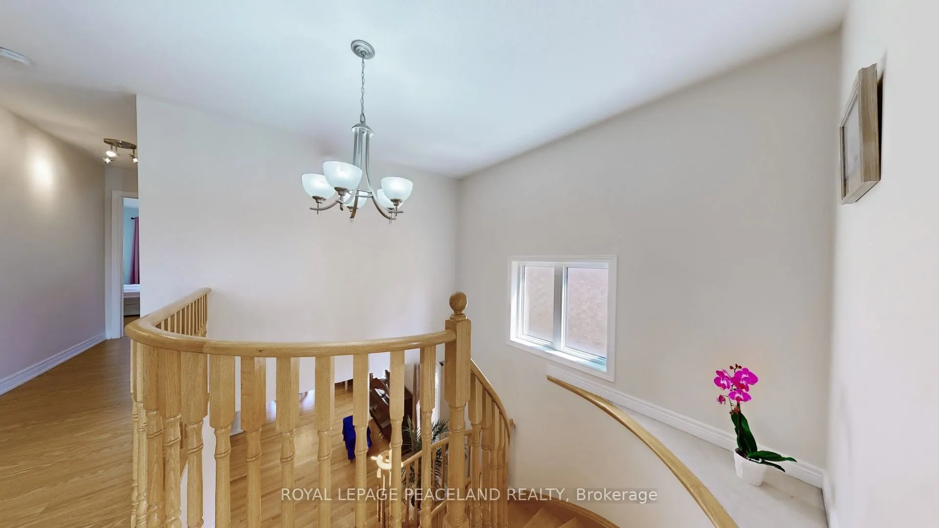16 Lealinds Road