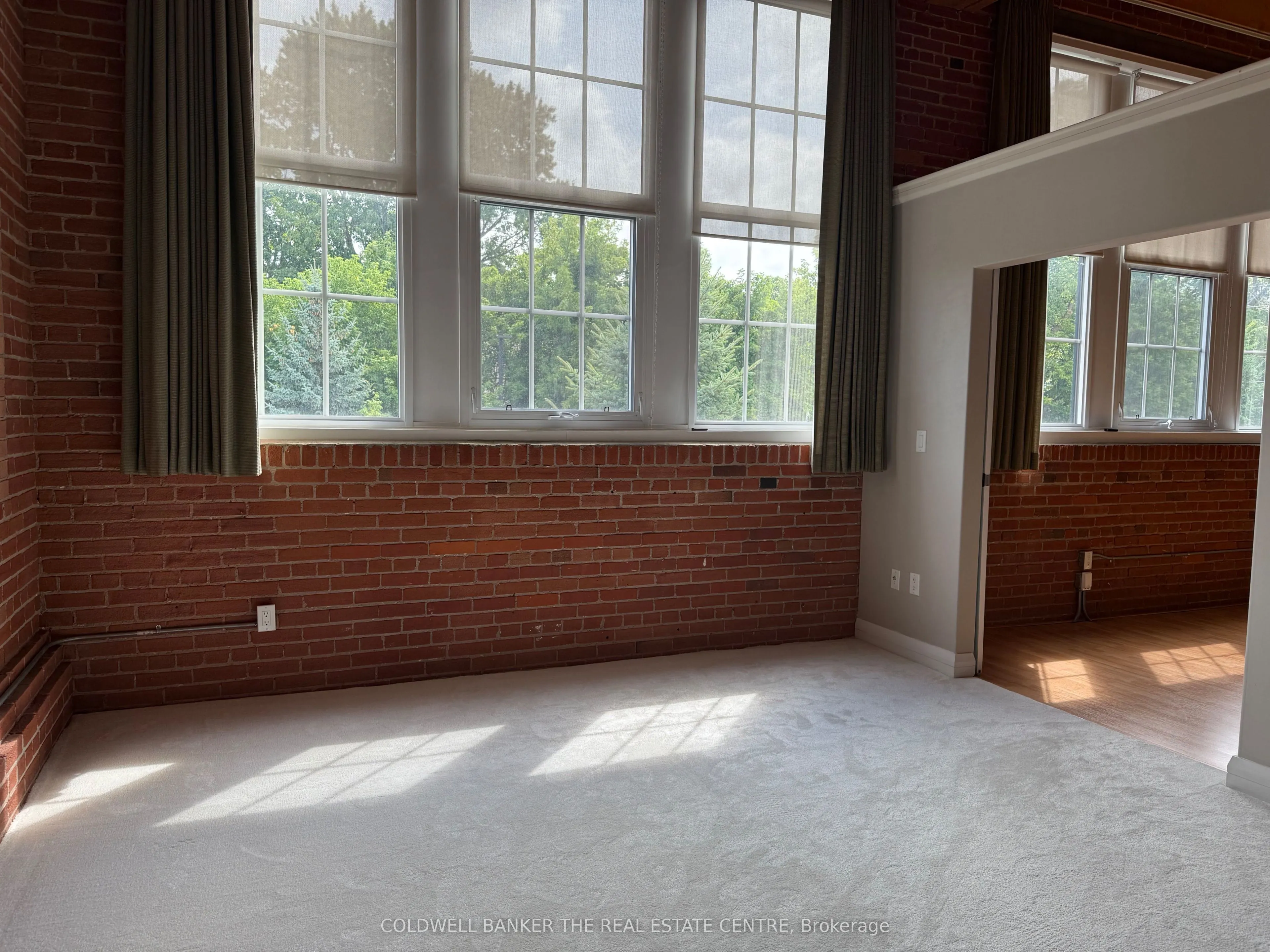 543 Timothy Street, #301