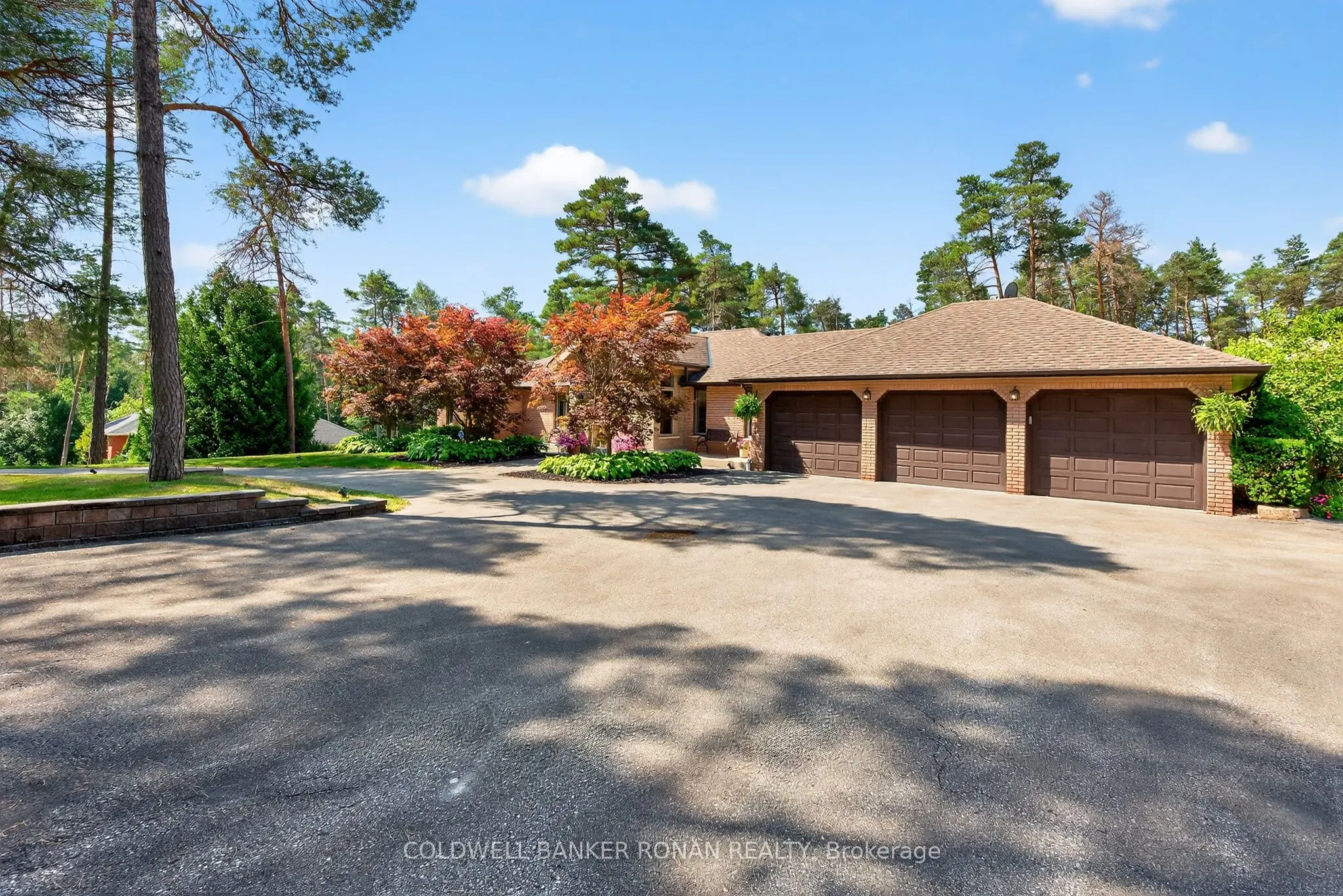 6 Pyne Hills Court