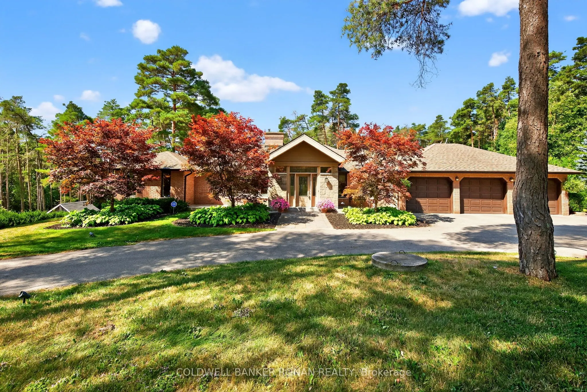 6 Pyne Hills Court