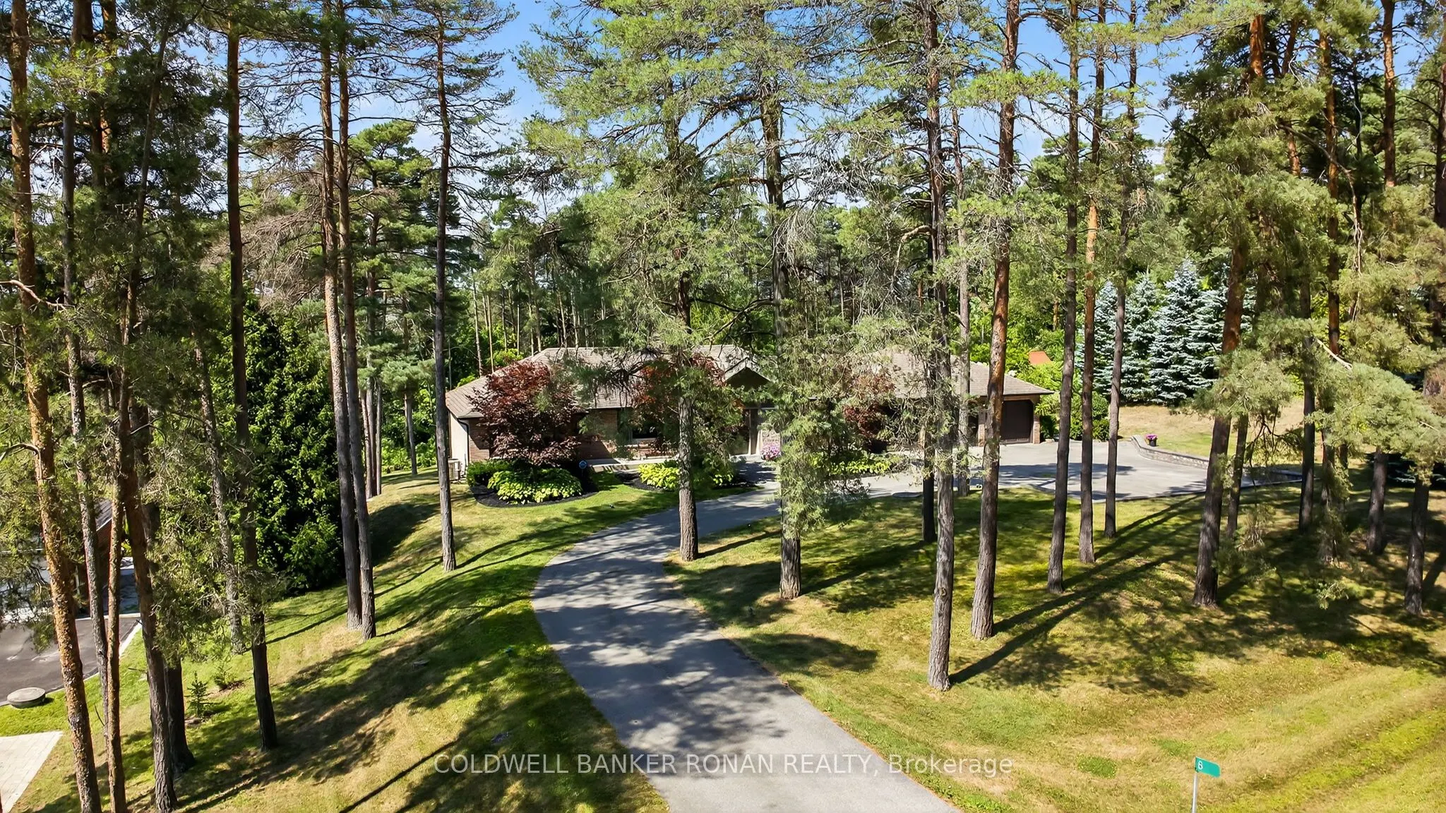 6 Pyne Hills Court