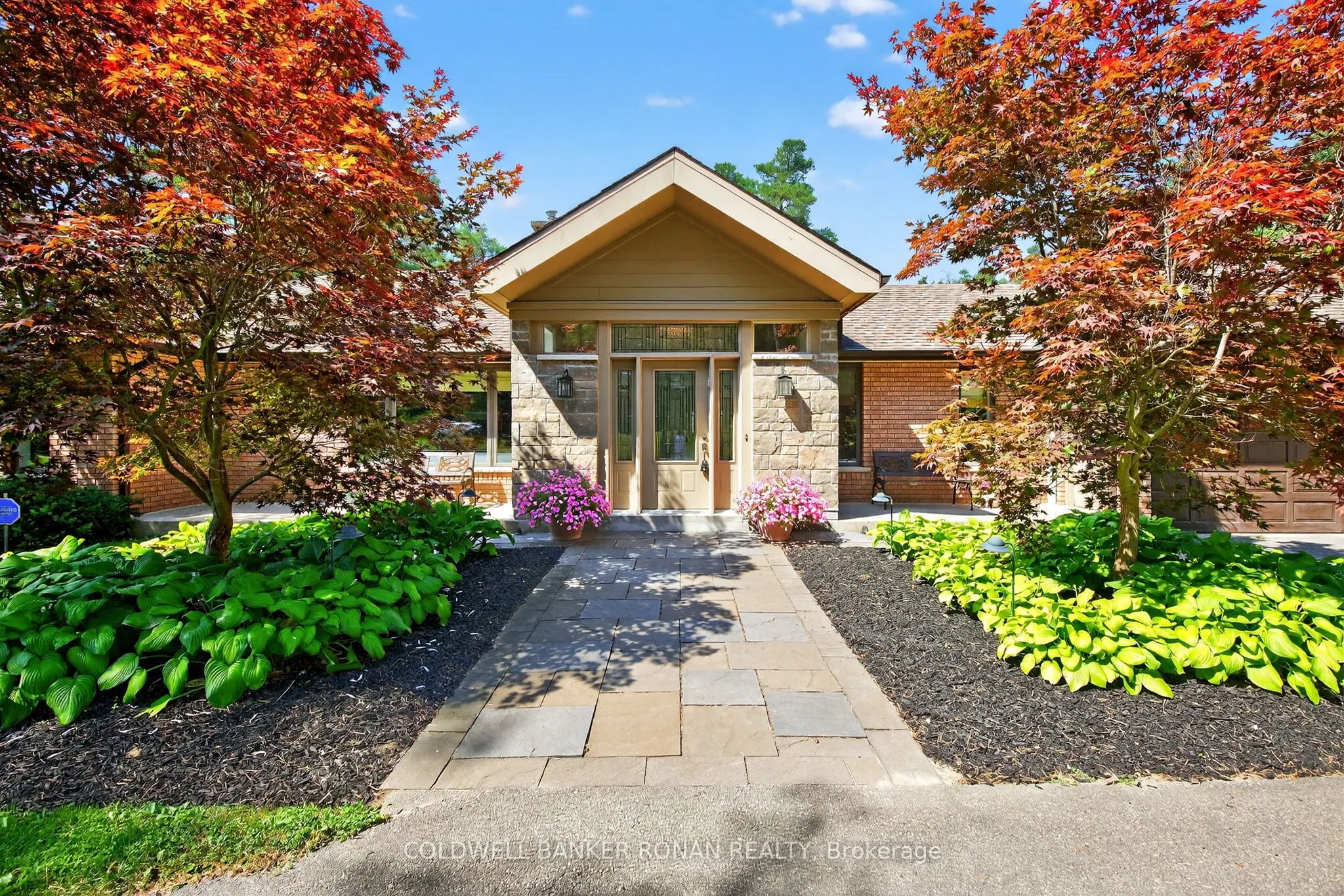 6 Pyne Hills Court