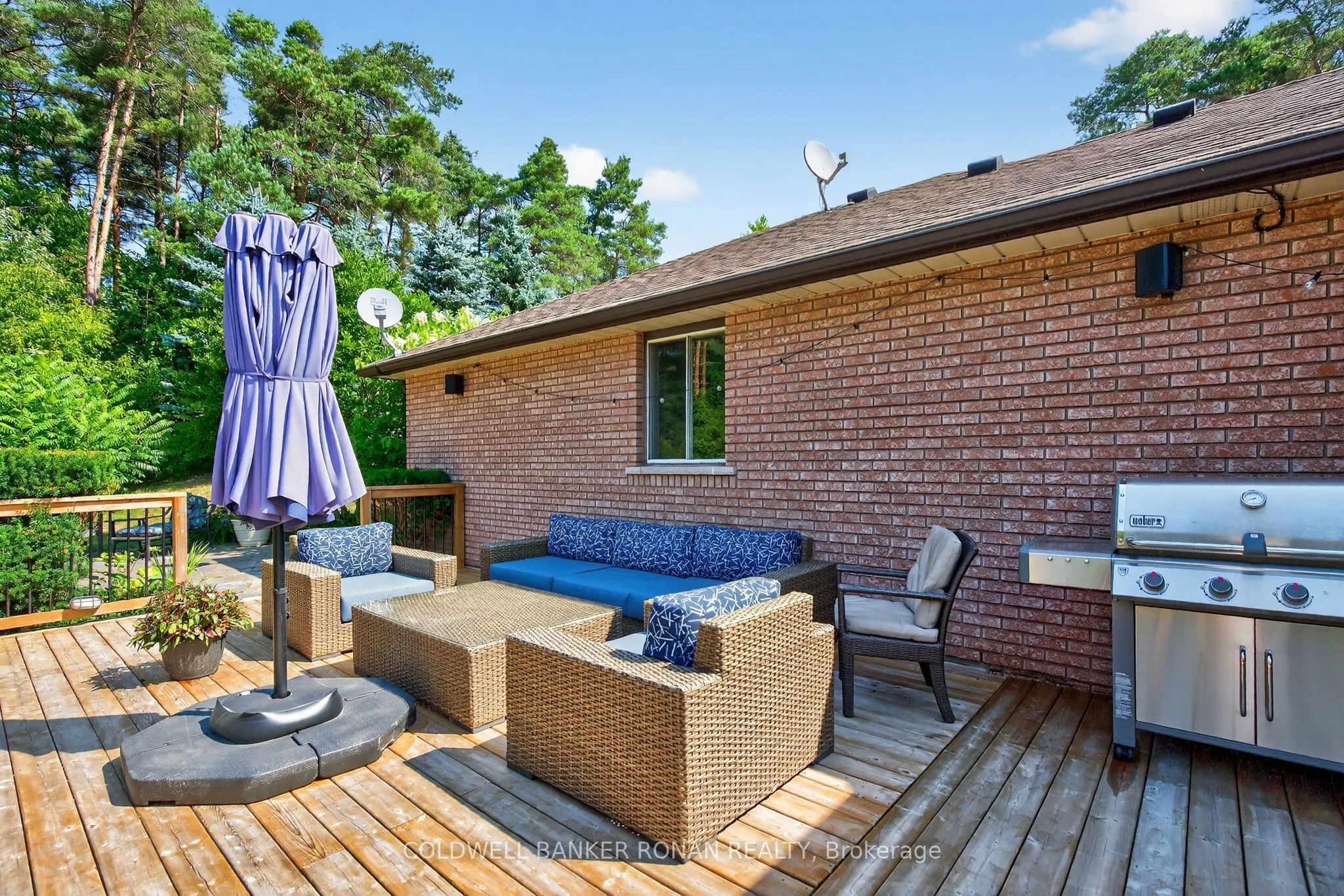 6 Pyne Hills Court