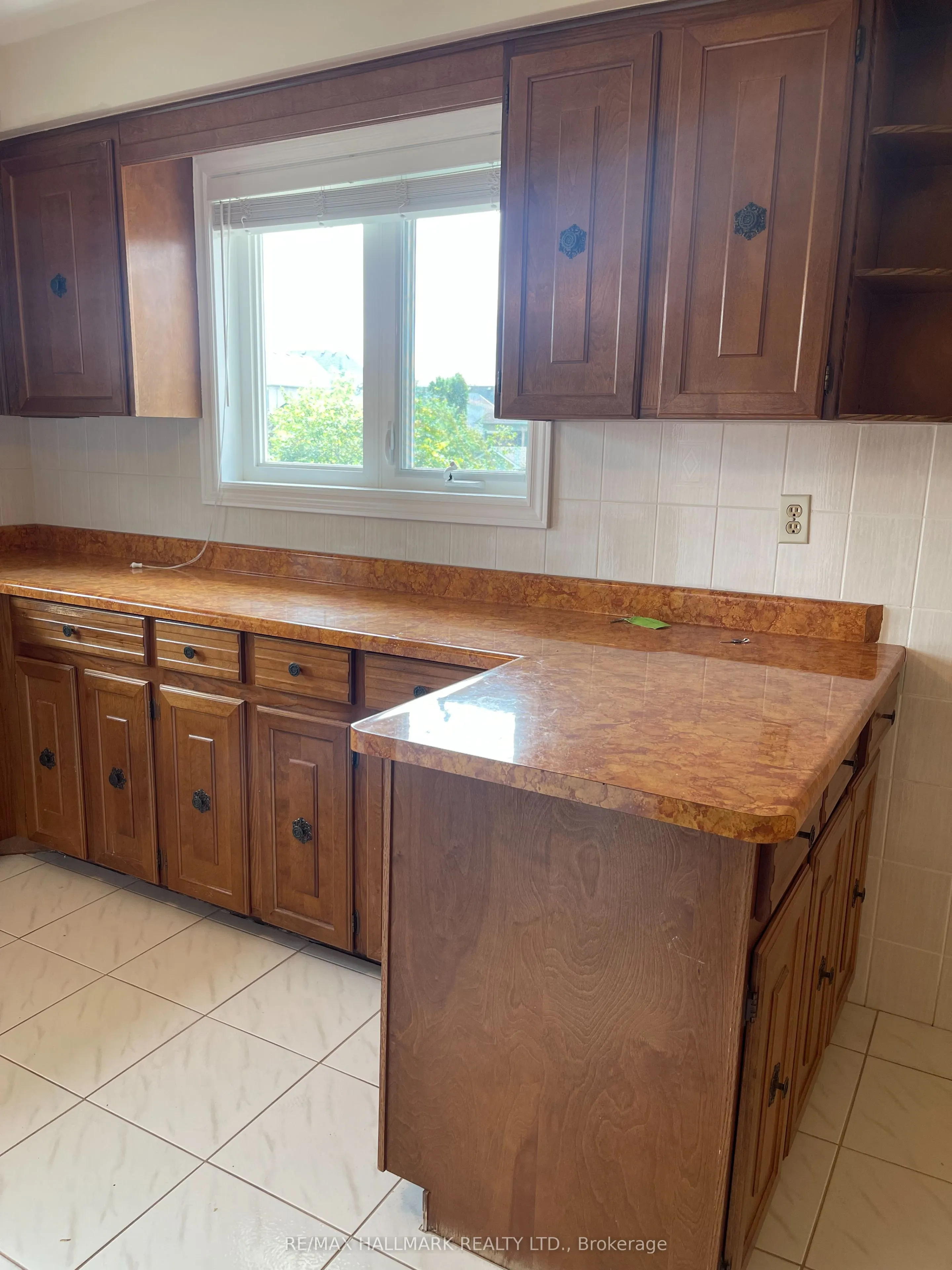 227 Elgin Mills(MAIN FLOOR) Road W