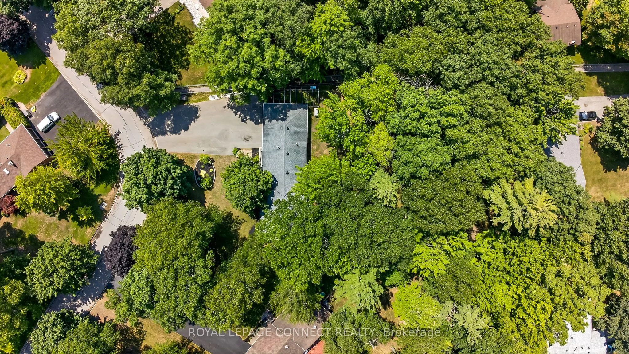 10 Donaldson Road