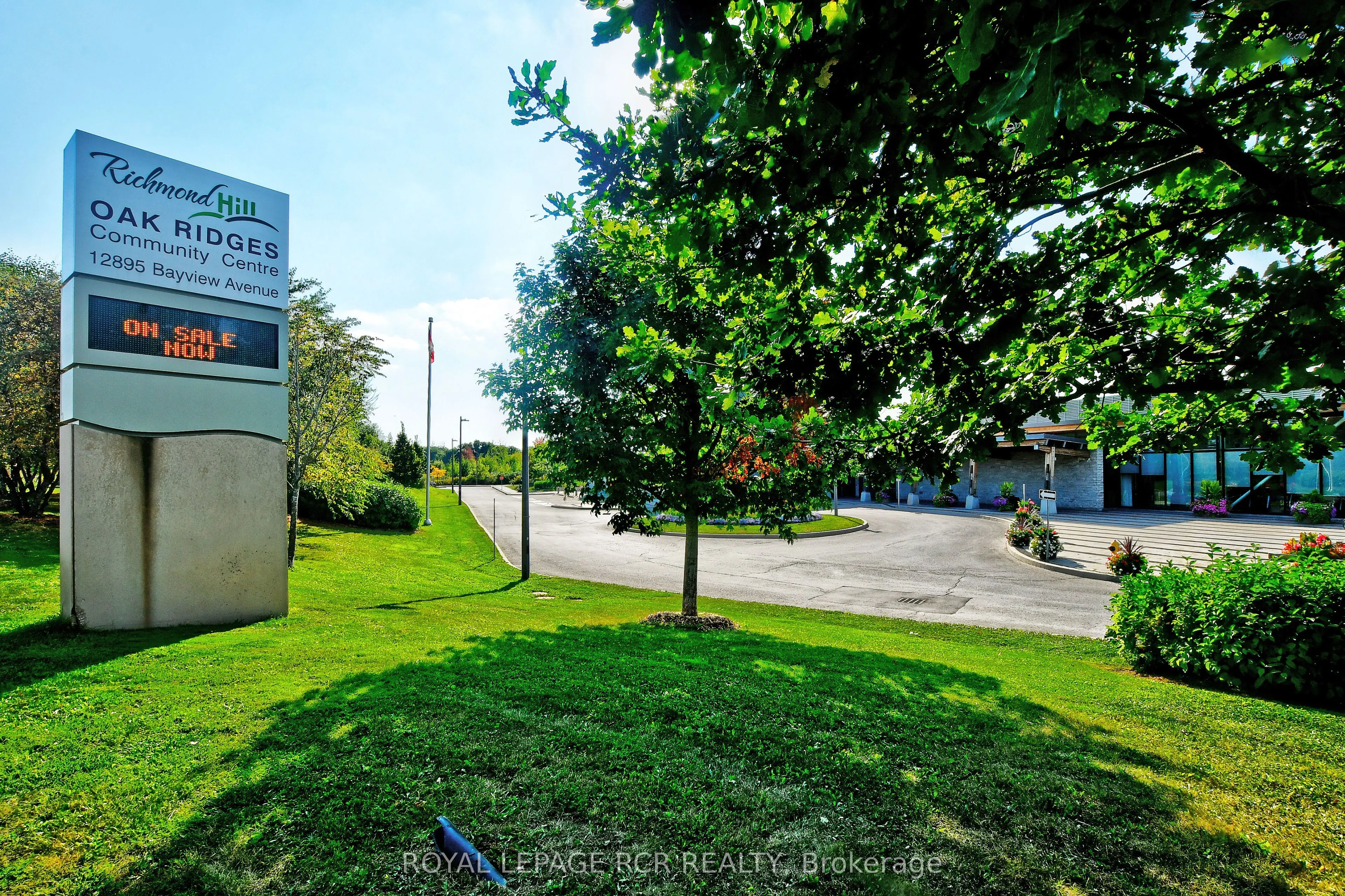 65 Anchusa Drive