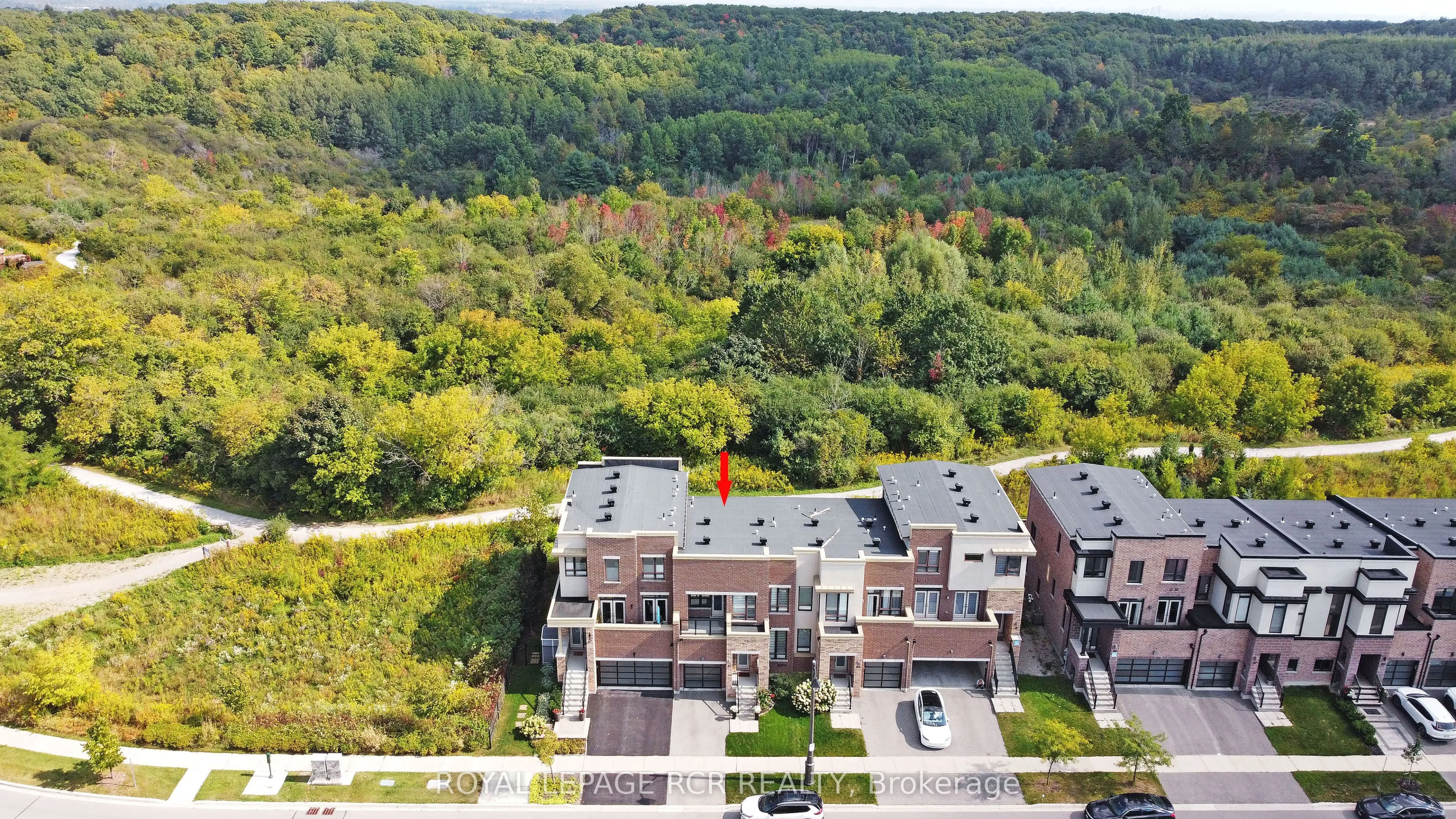 65 Anchusa Drive