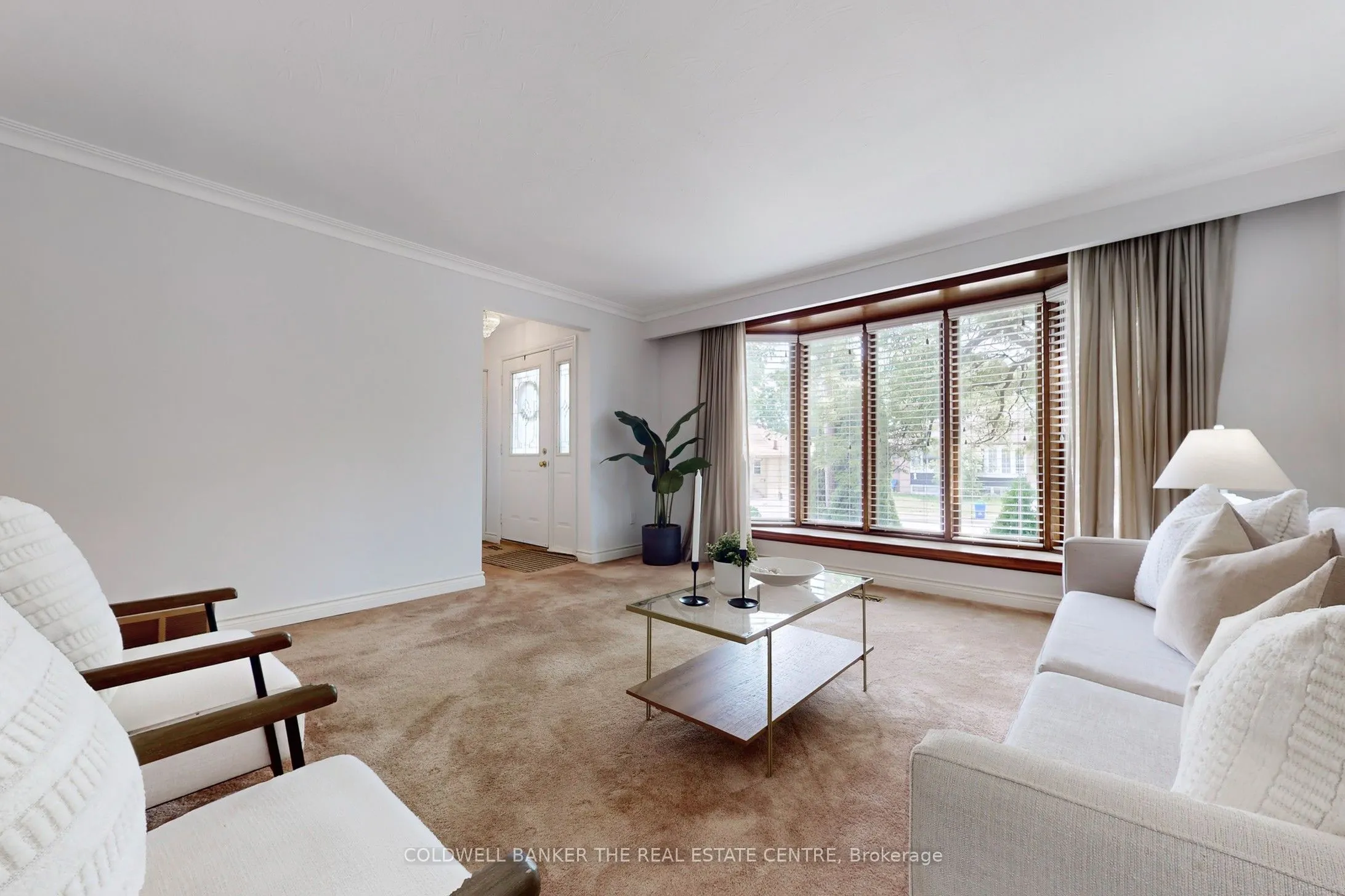 245 Silverbirch Drive