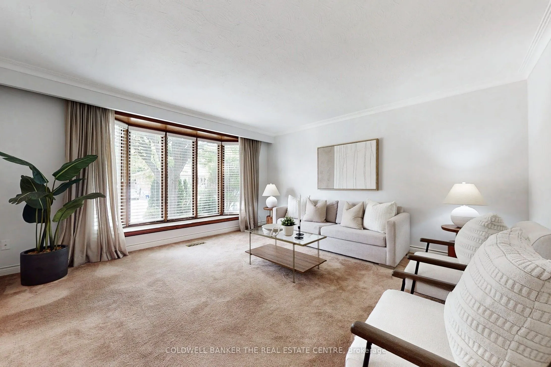 245 Silverbirch Drive