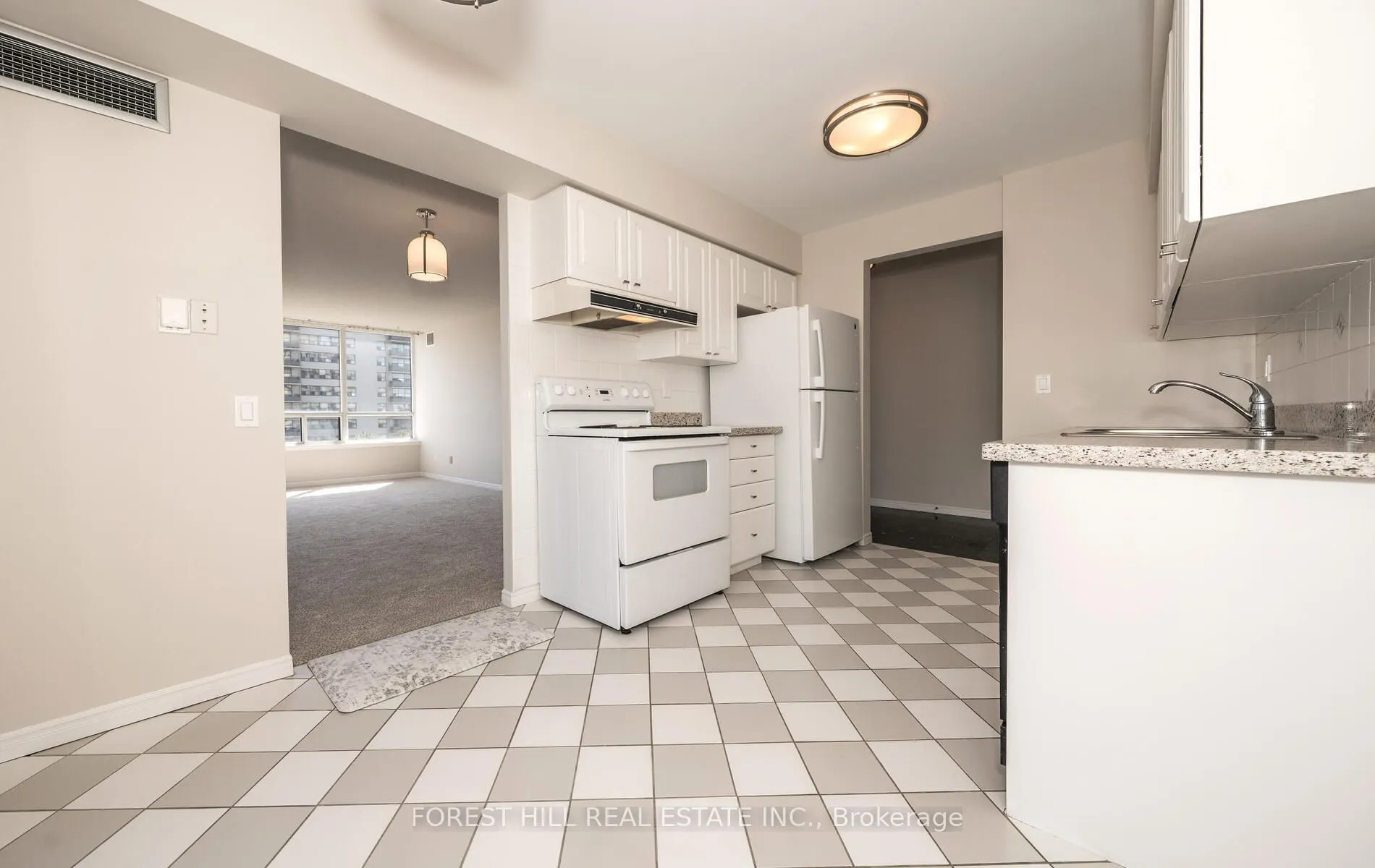 91 Townsgate Drive, #709