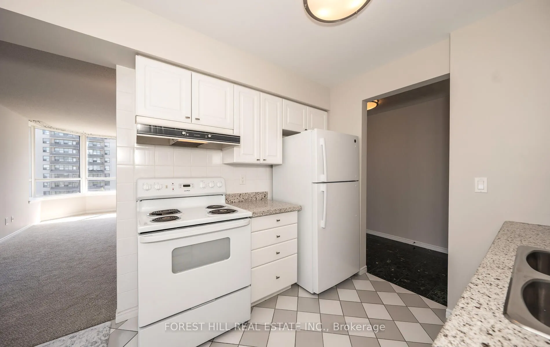91 Townsgate Drive, #709