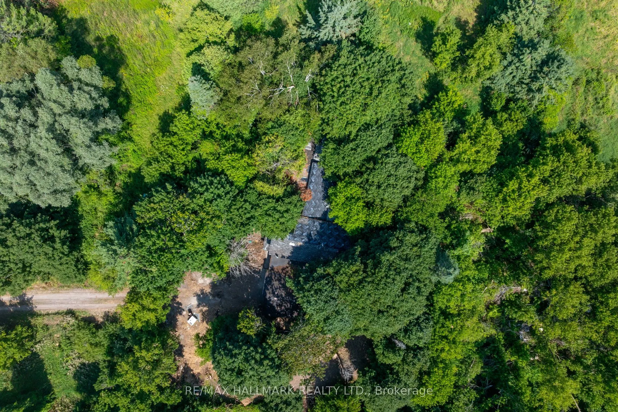 23895 Mccowan Road