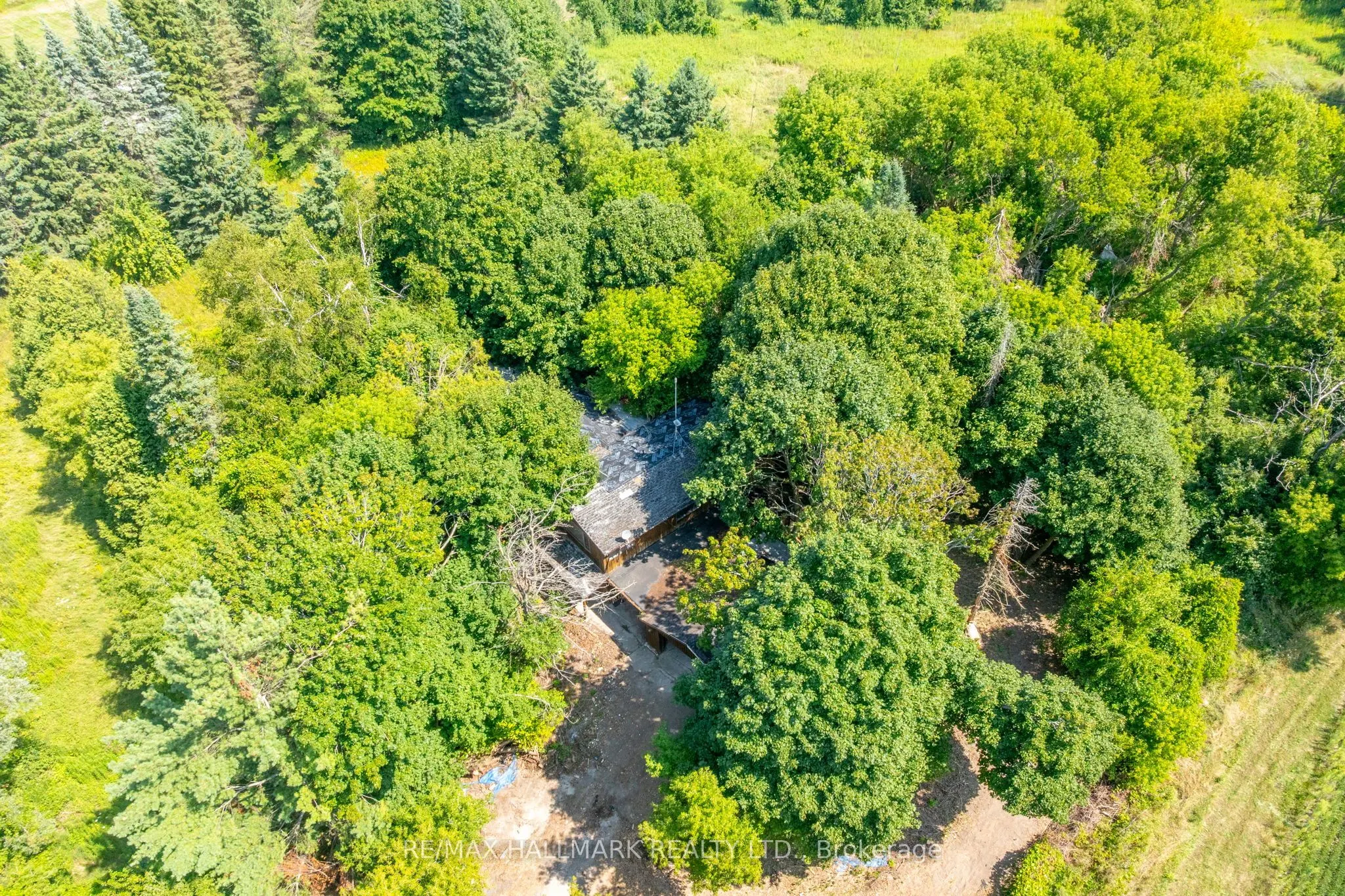 23895 Mccowan Road