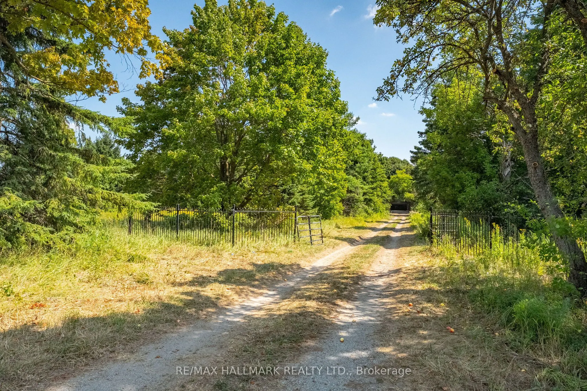 23895 Mccowan Road
