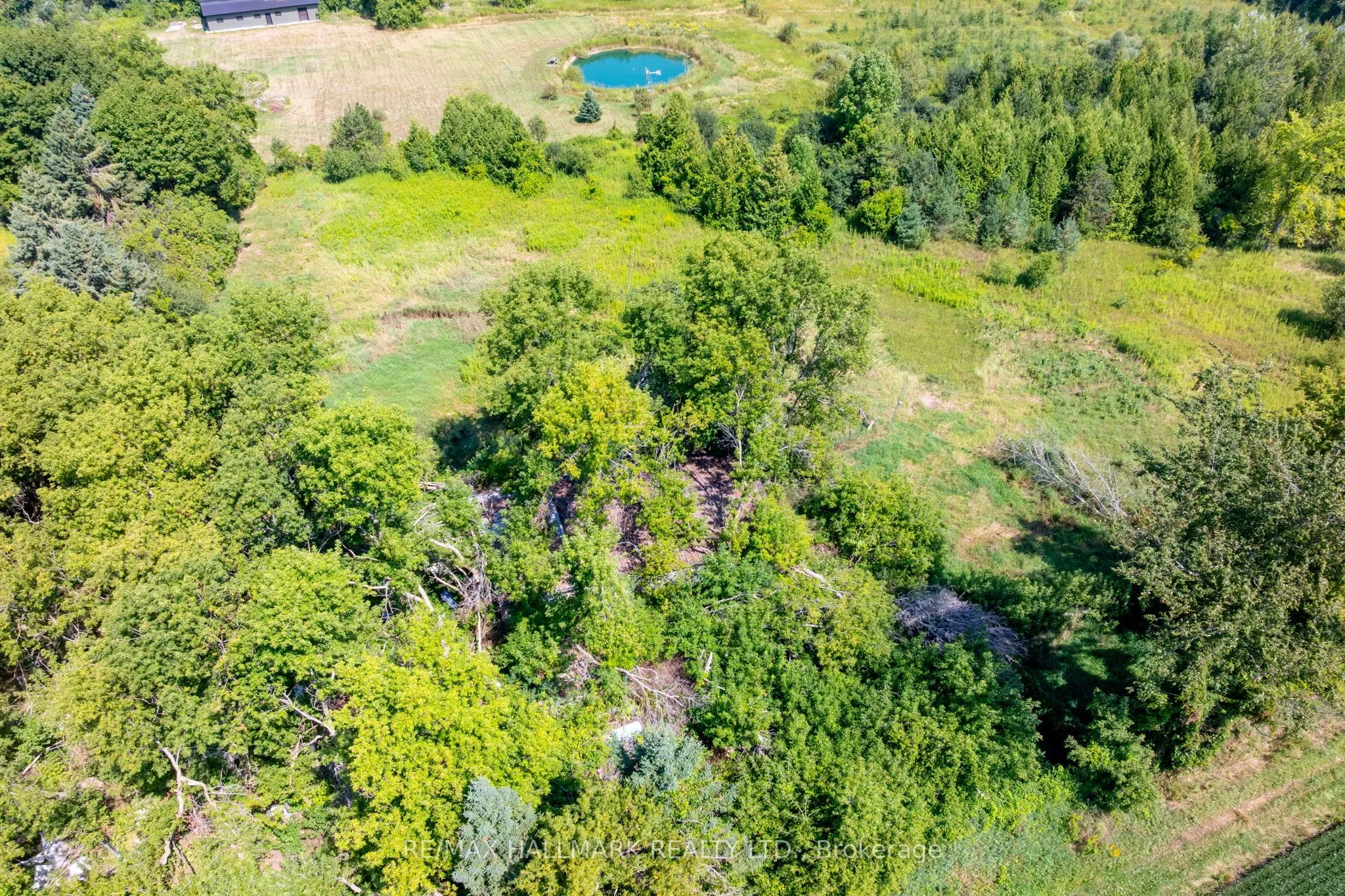 23895 Mccowan Road