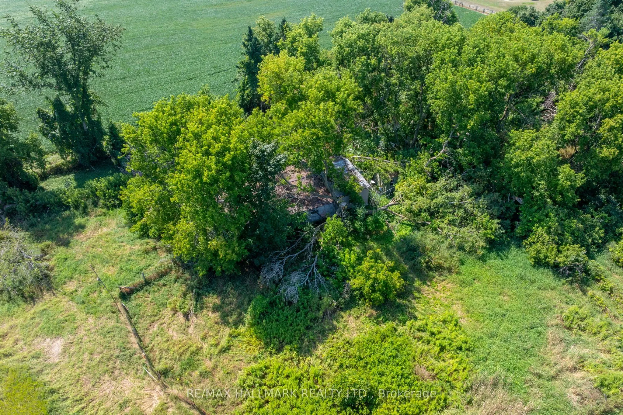23895 Mccowan Road