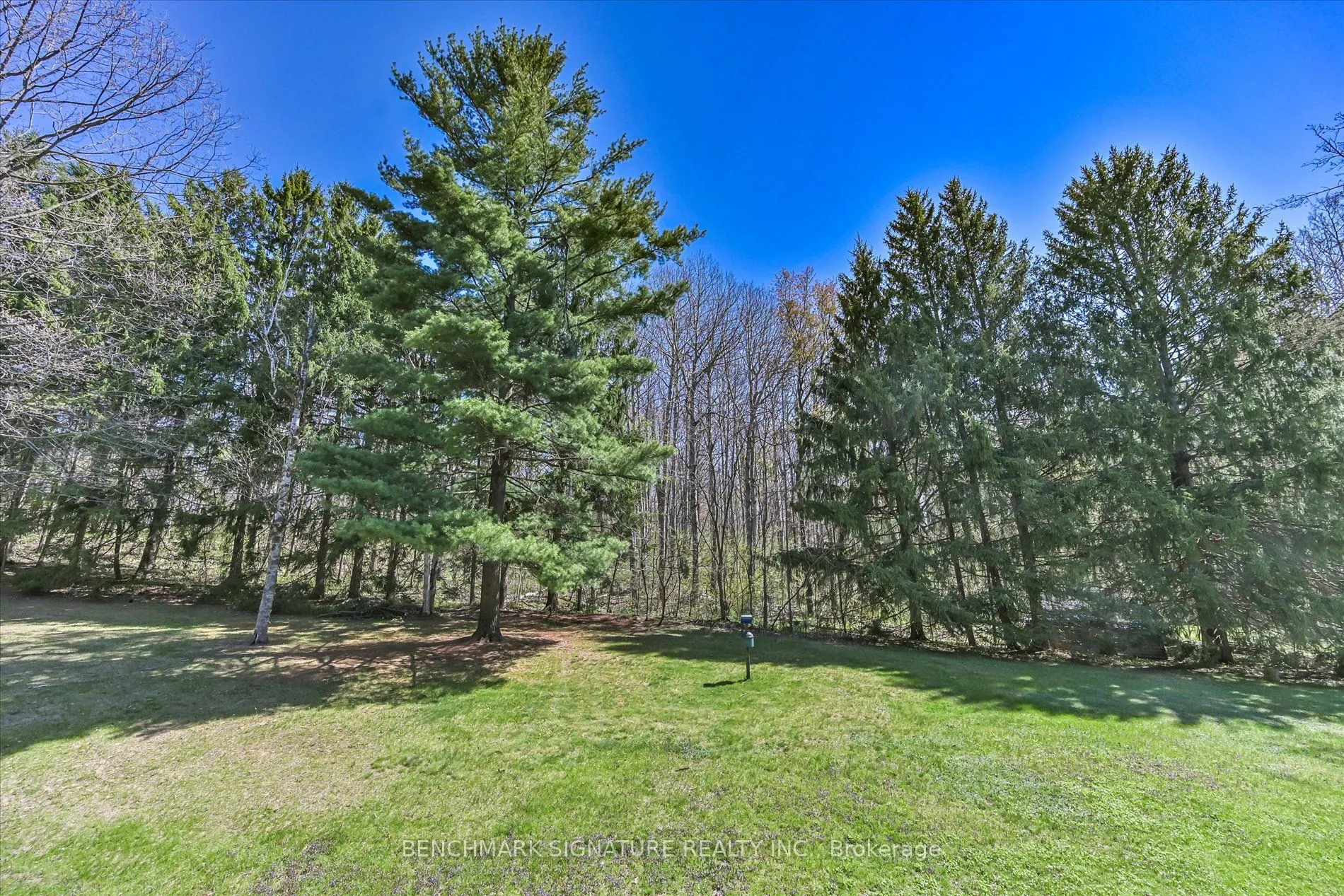 115 Fog Road