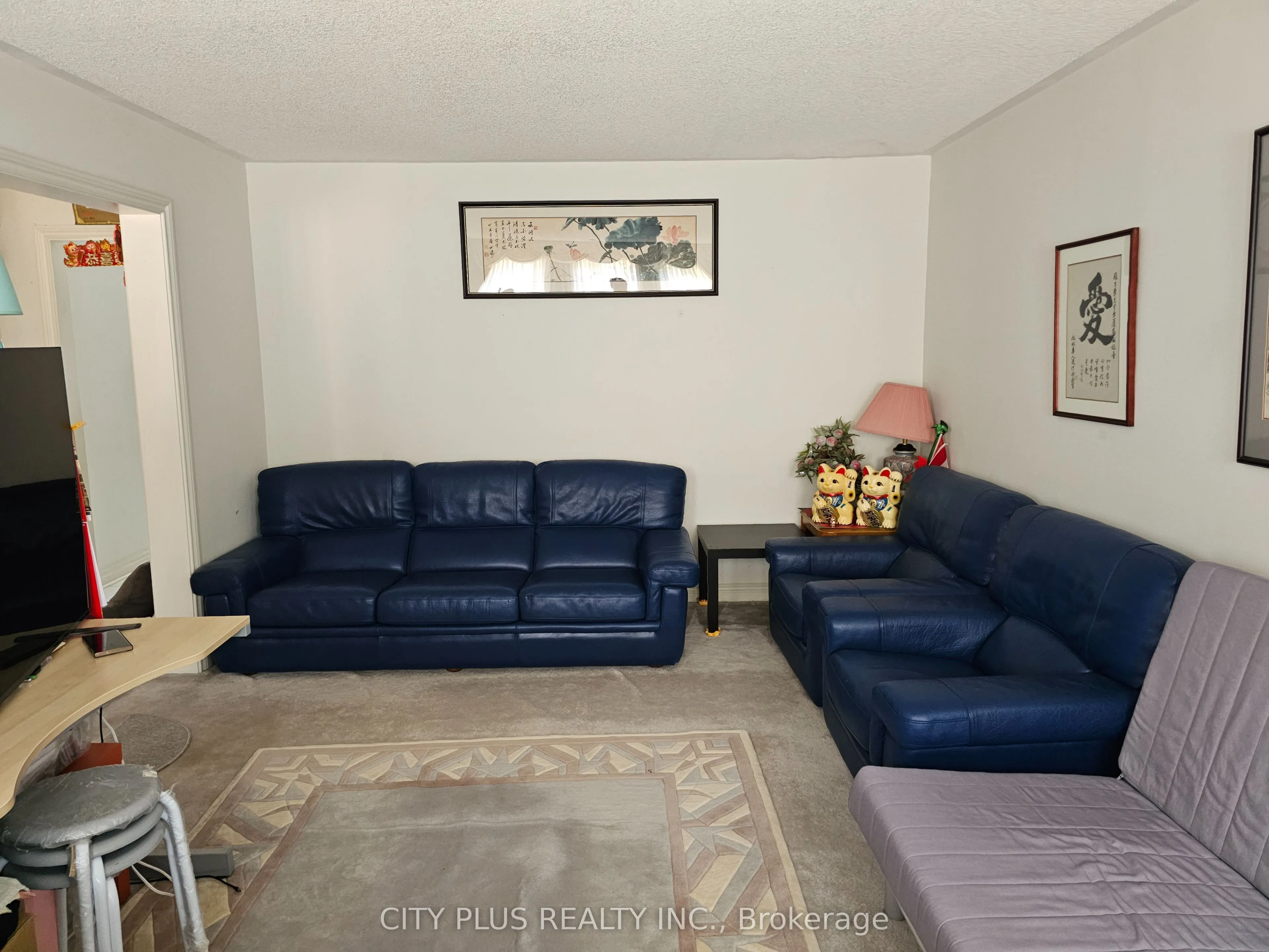 529 Village Parkway