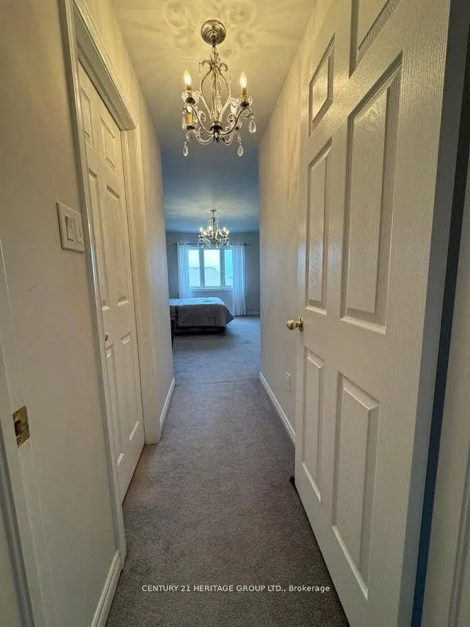 135 Black Maple Crescent, #Main