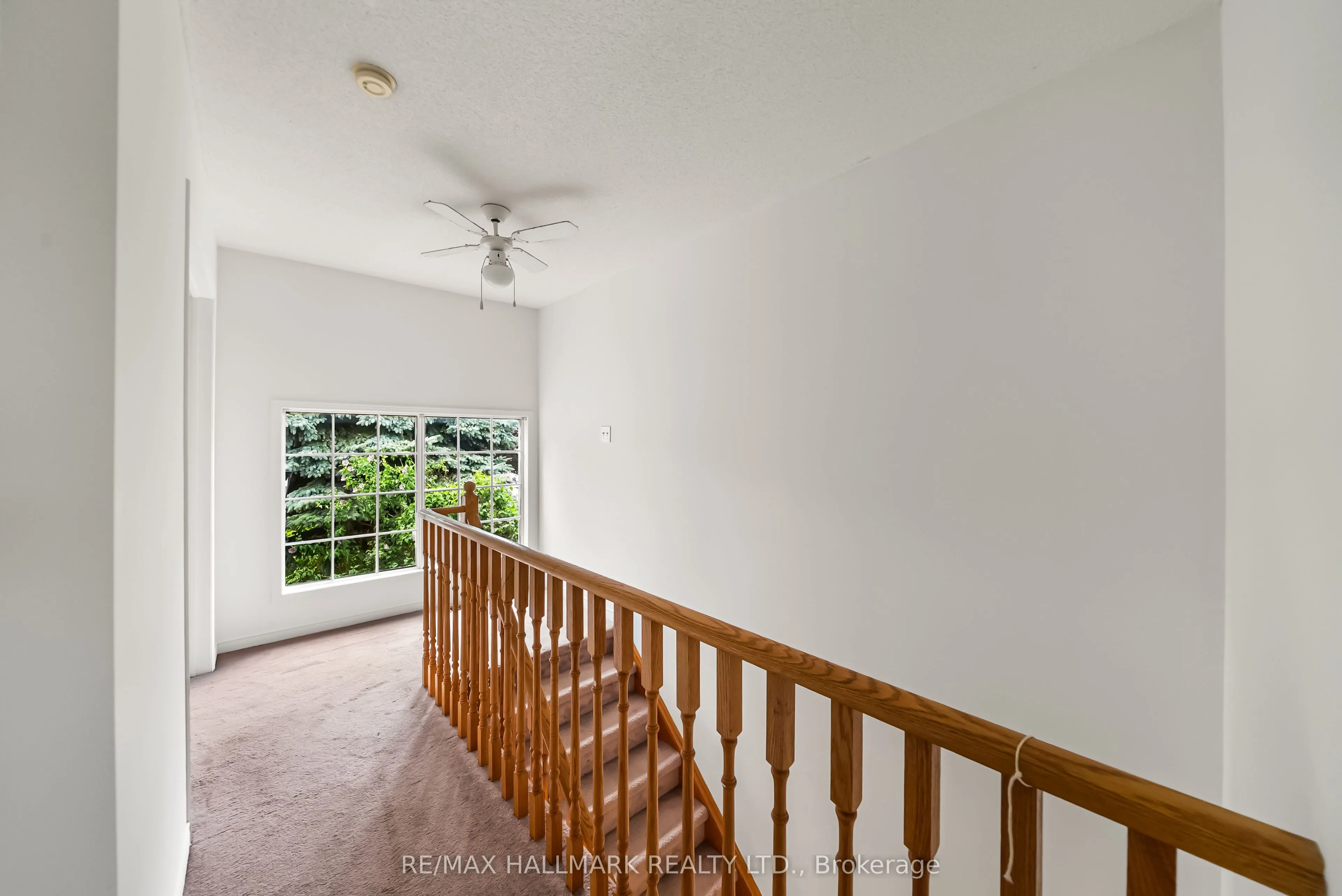302 Pinnacle Trail