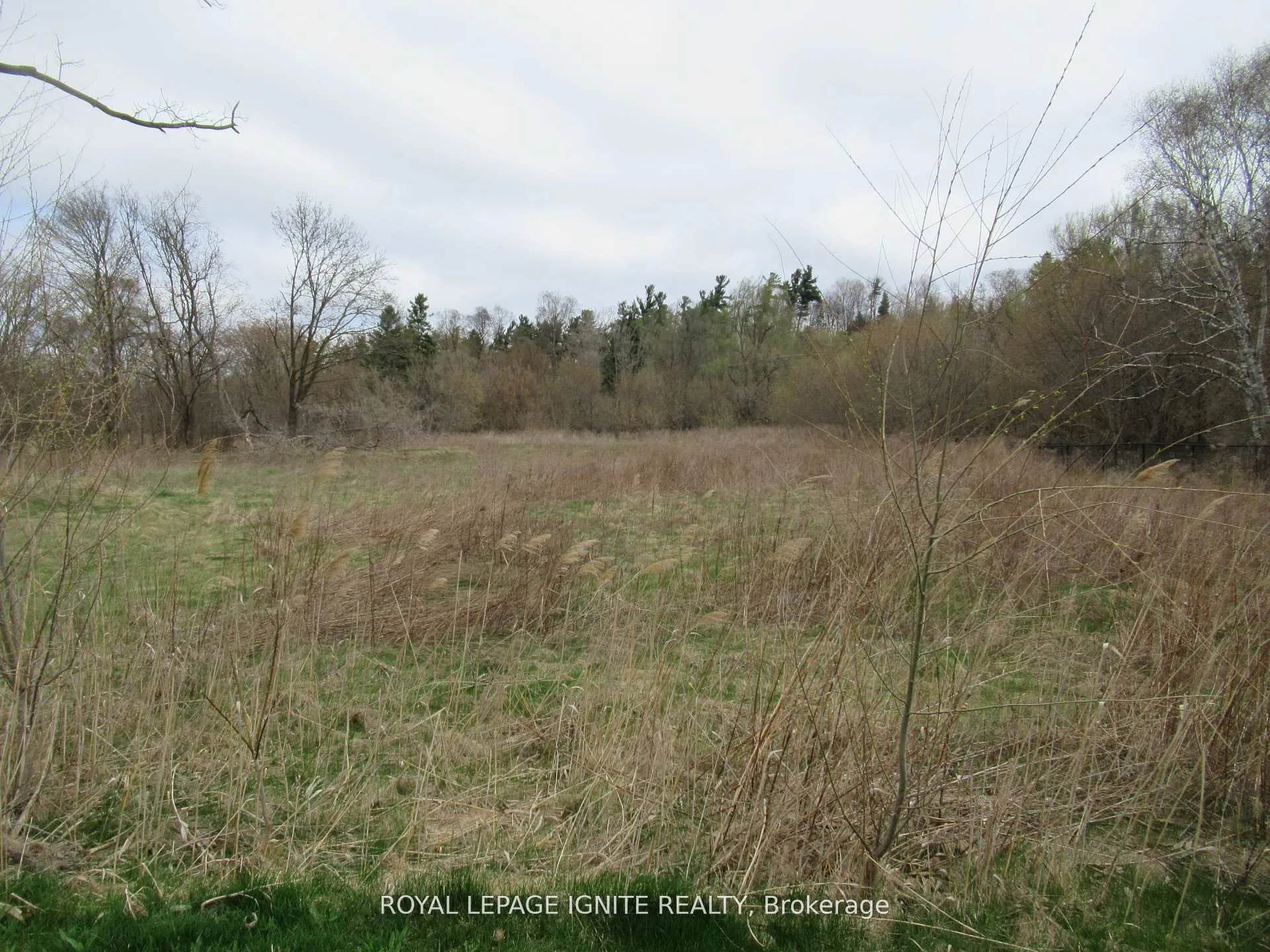 196 Pine Grove Road, #13