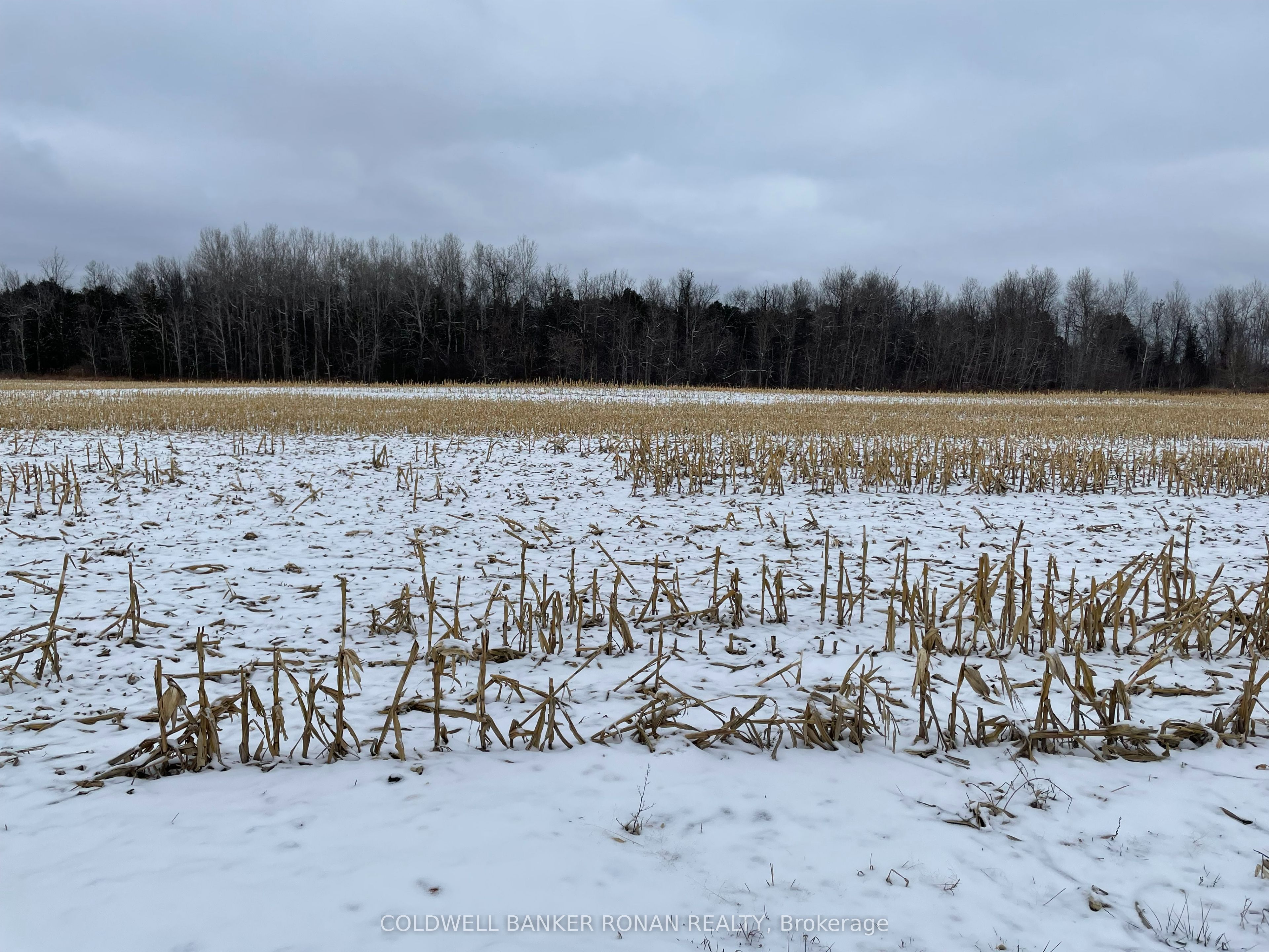 5525 Concession Rd 4