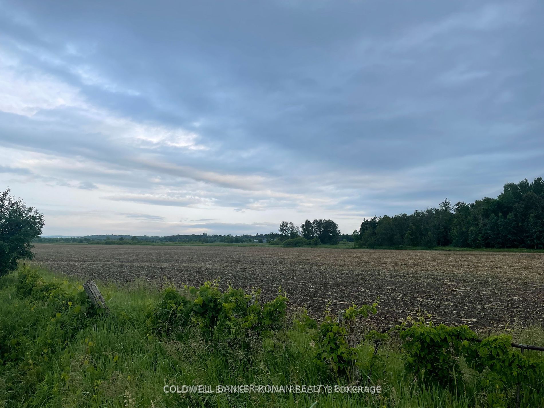 5525 Concession Rd 4