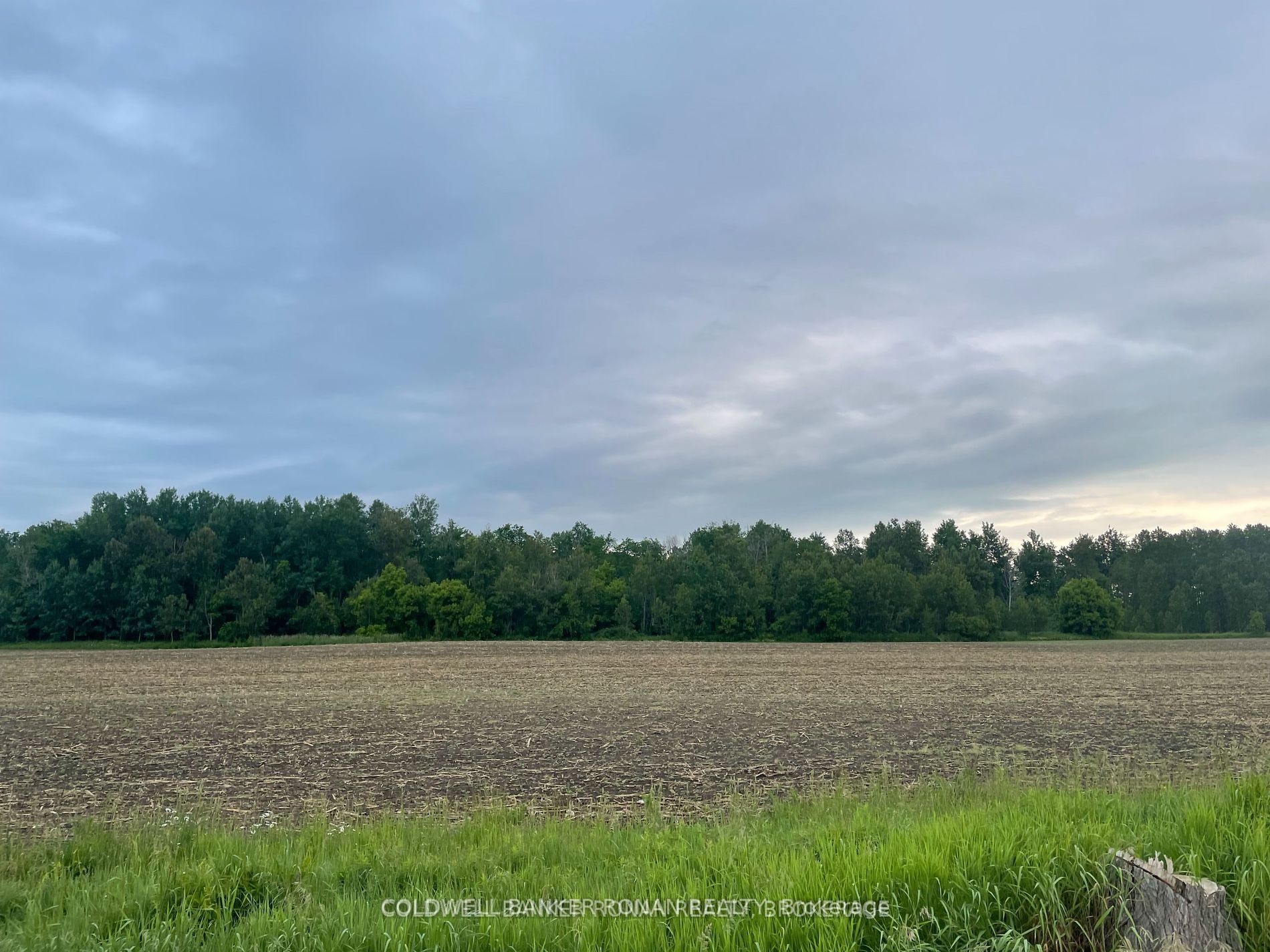 5525 Concession Rd 4
