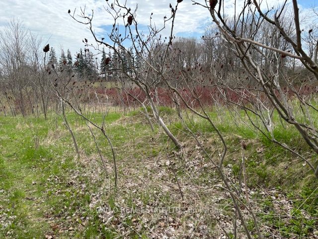 6041 Bloomington Road