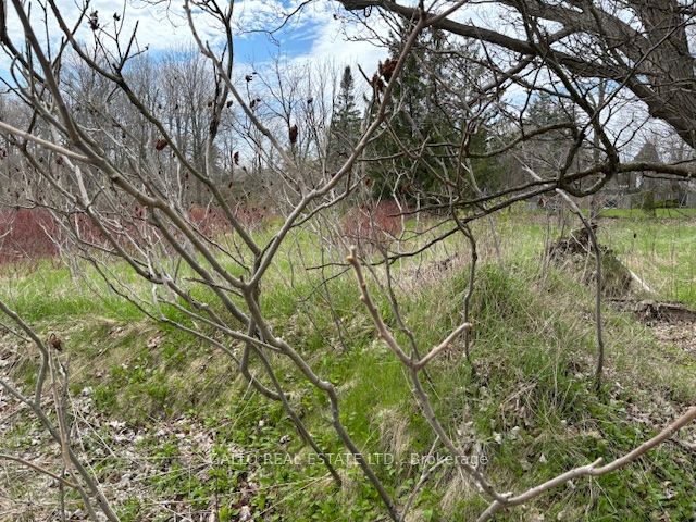 6041 Bloomington Road