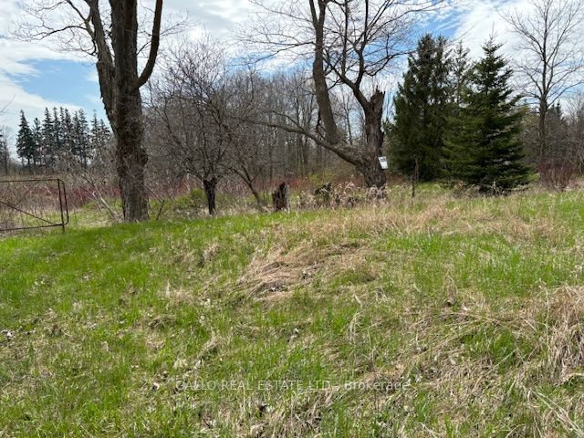 6041 Bloomington Road