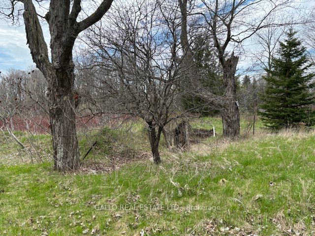 6041 Bloomington Road