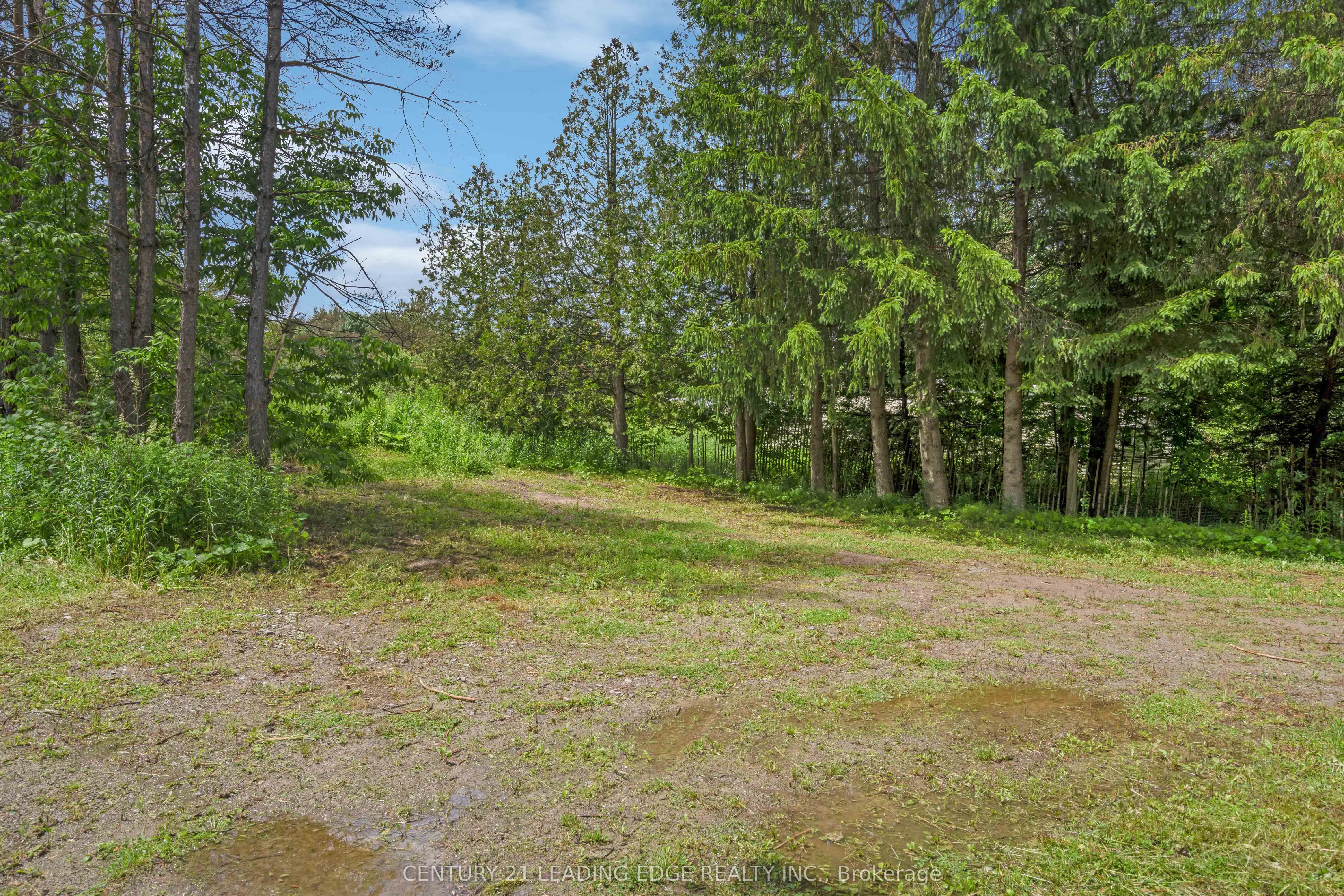 12300 Concession 2 Road