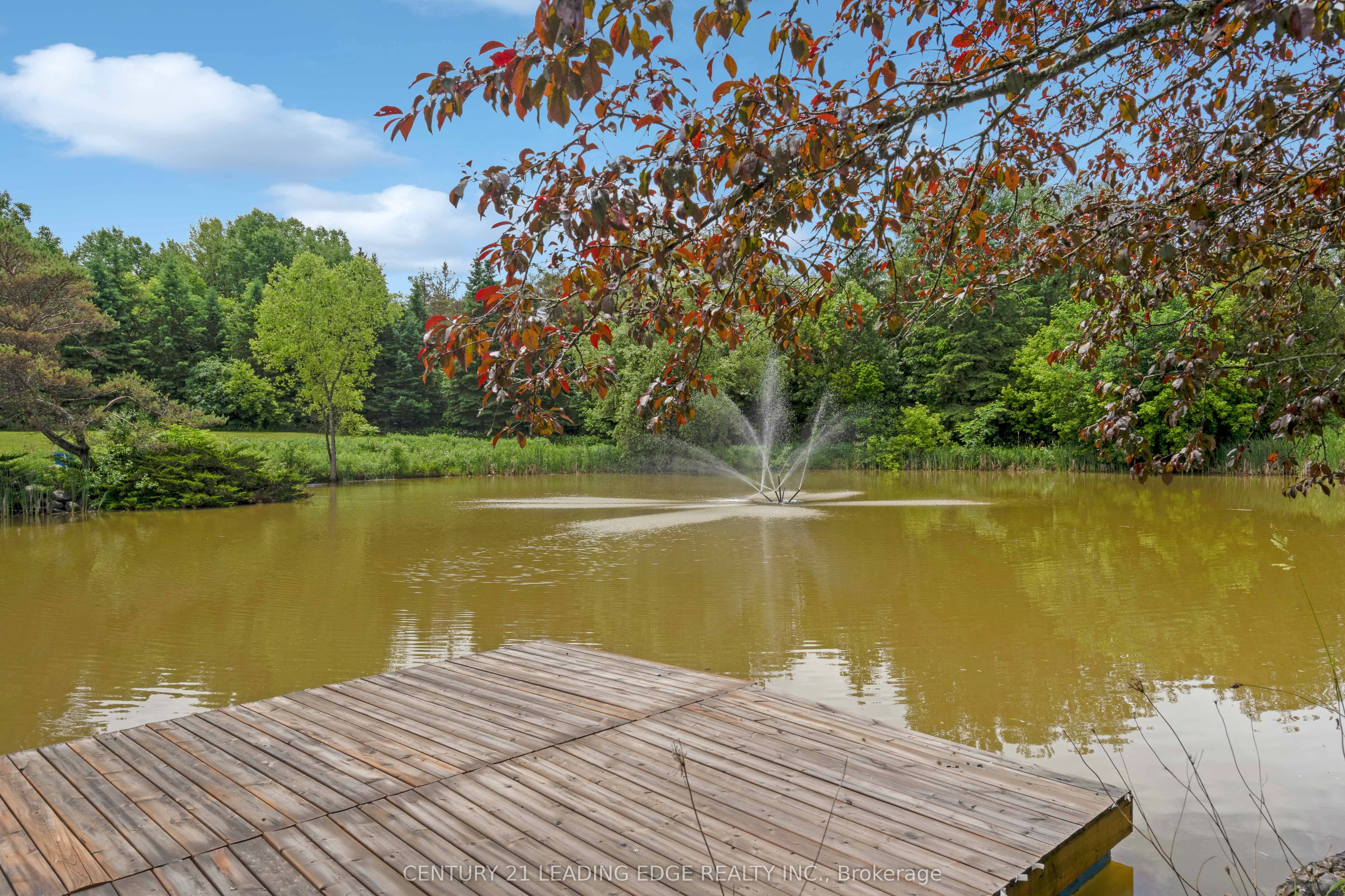 12300 Concession 2 Road