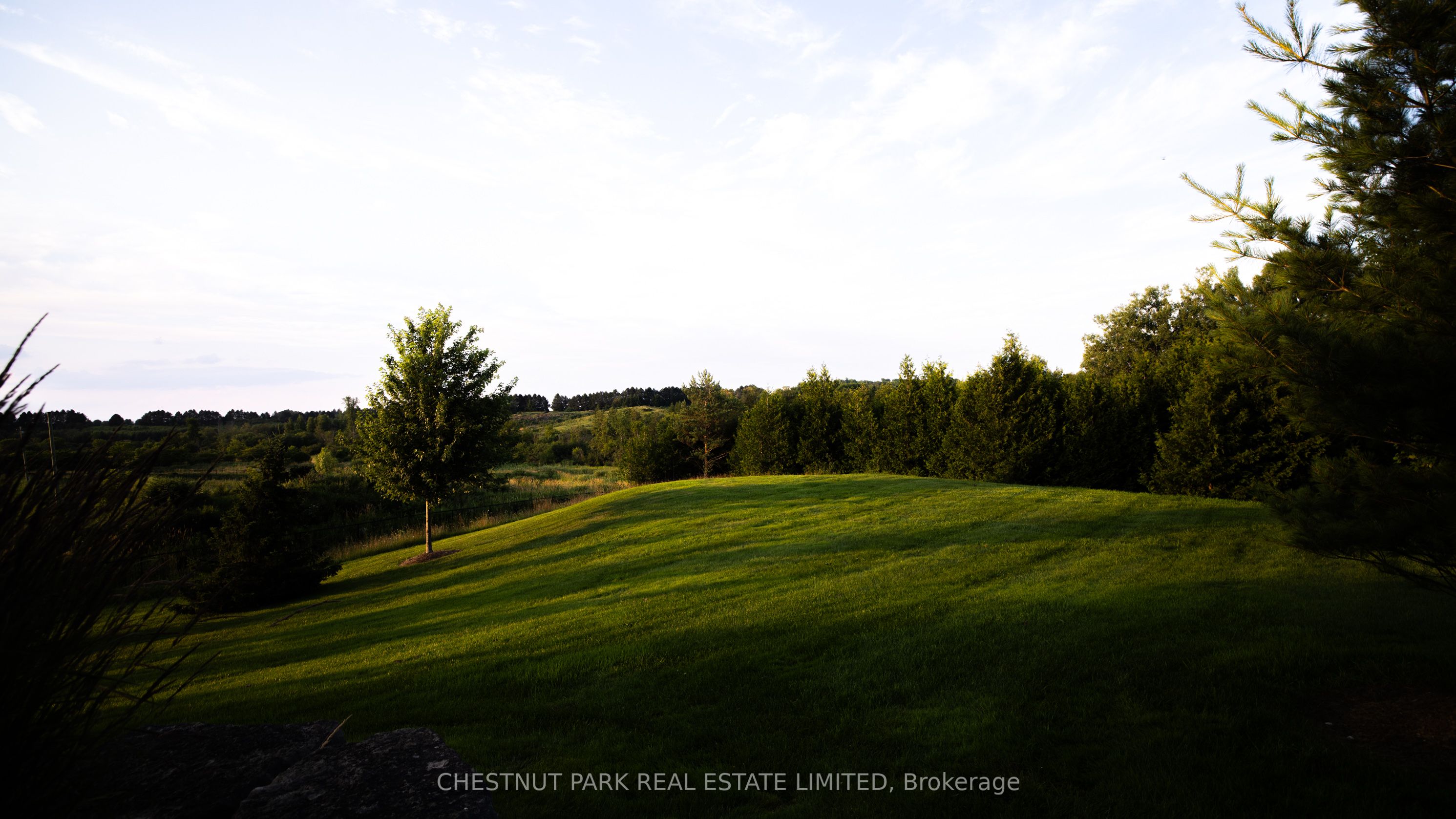 908 Vandorf Side Road