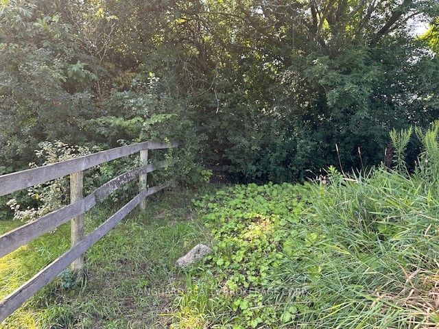 253 Morning Side Road