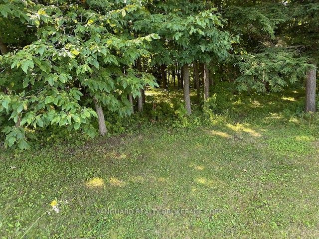 253 Morning Side Road