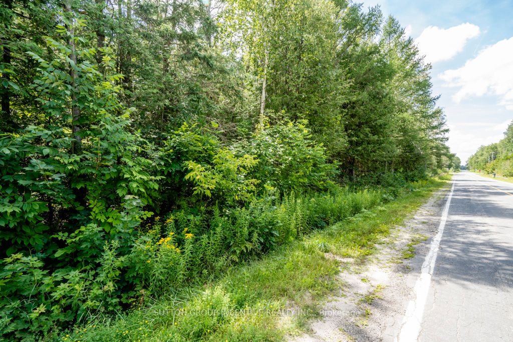 5349 30th Side Road