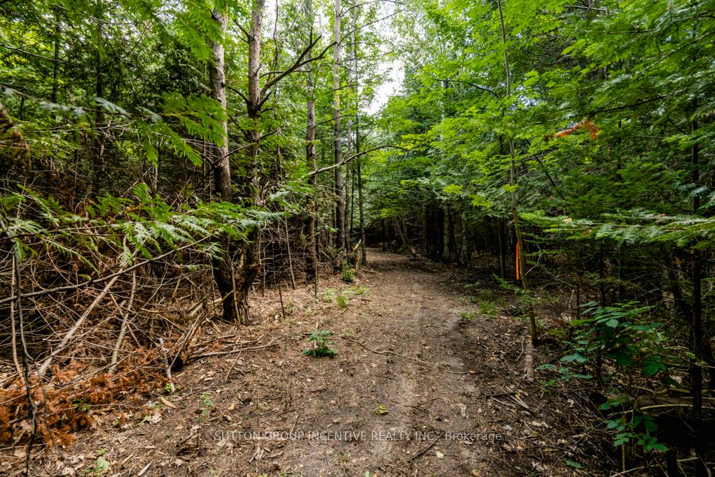 5349 30th Side Road