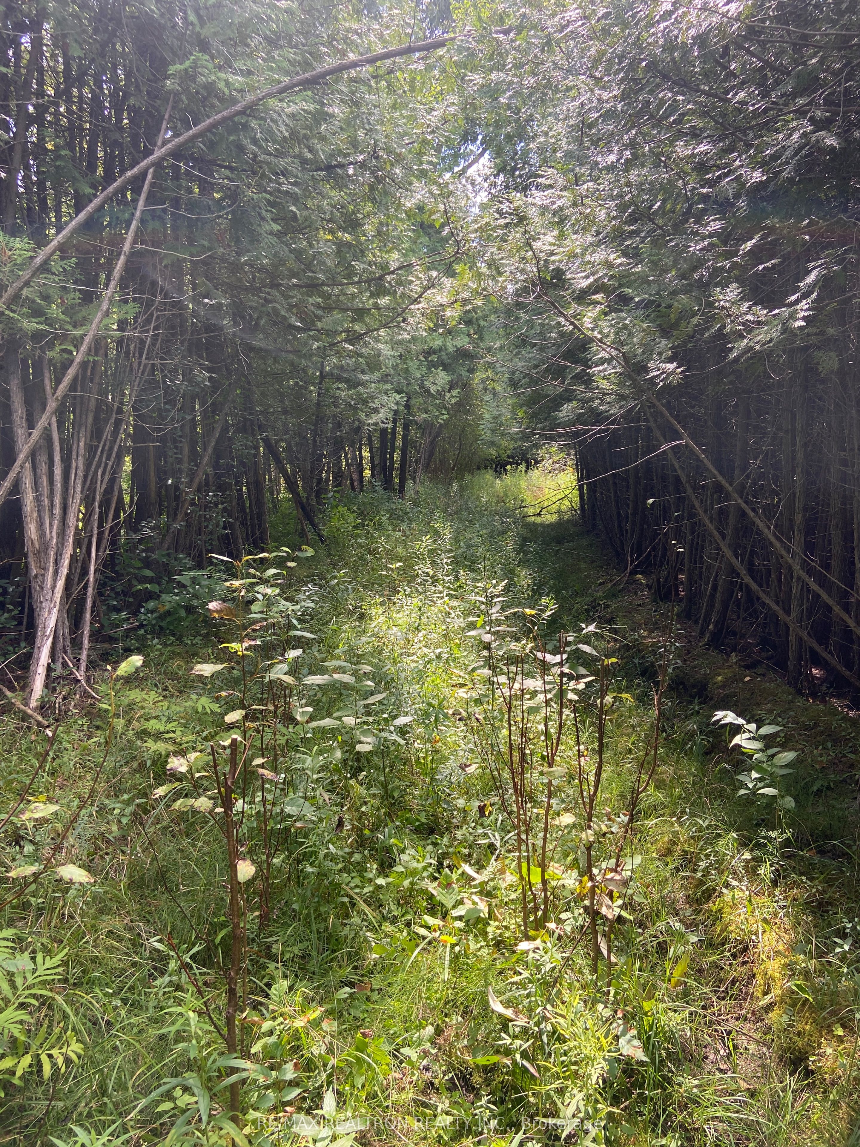 3992 Baseline Road