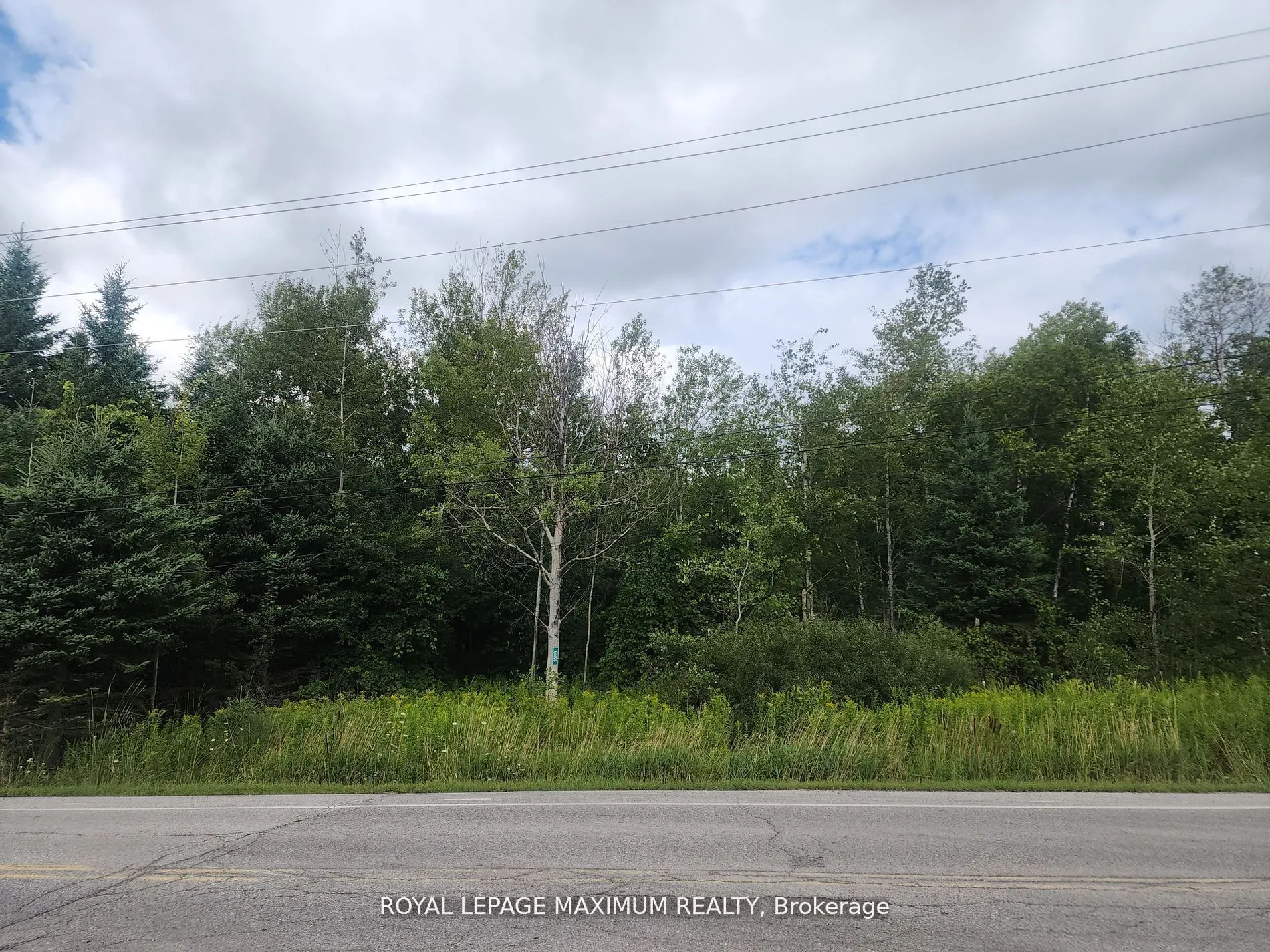 20223 Bathurst Street