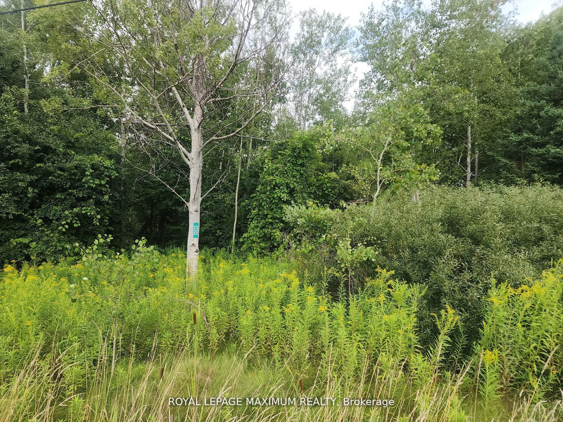 20223 Bathurst Street