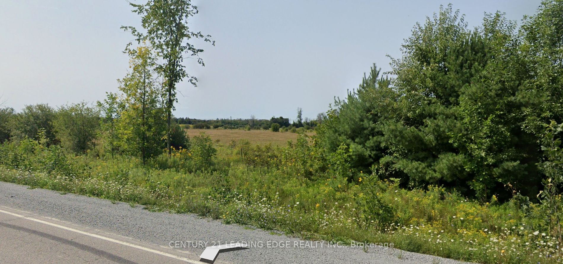 1860 B Thorah Concession 11