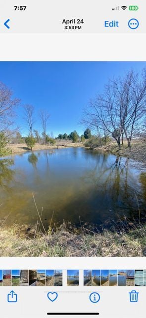 1860 B Thorah Concession 11