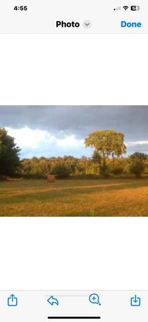 1860 B Thorah Concession 11