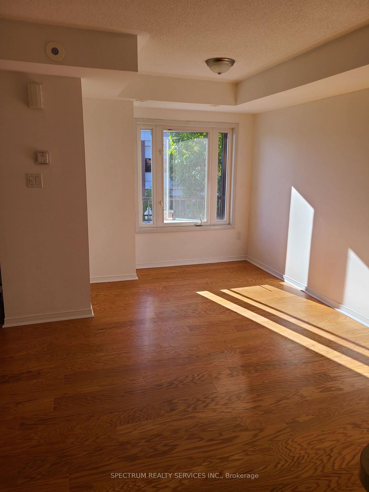 308 John Street, #203